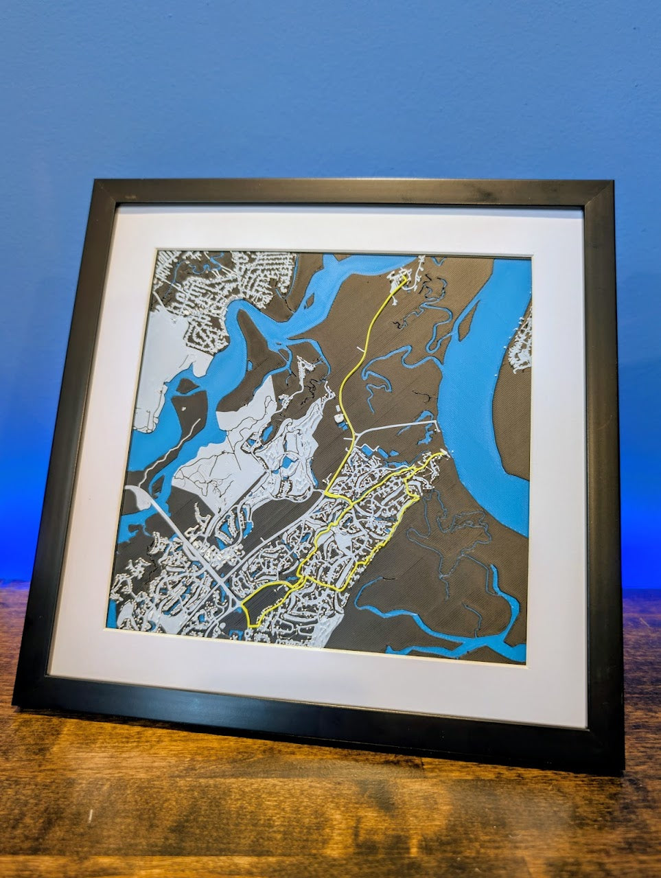 Skidaway Half Marathon