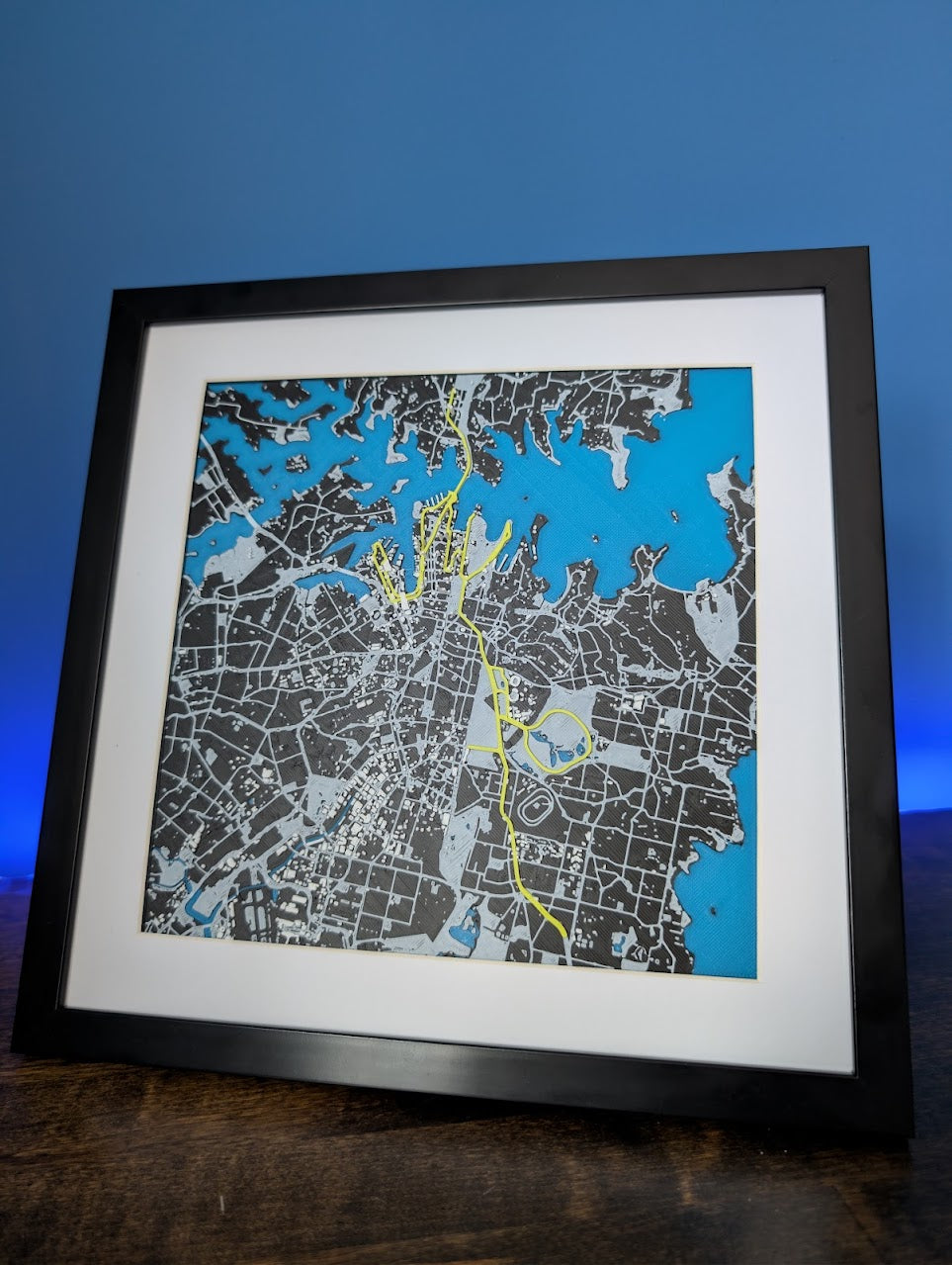 TCS Sydney Marathon 2025