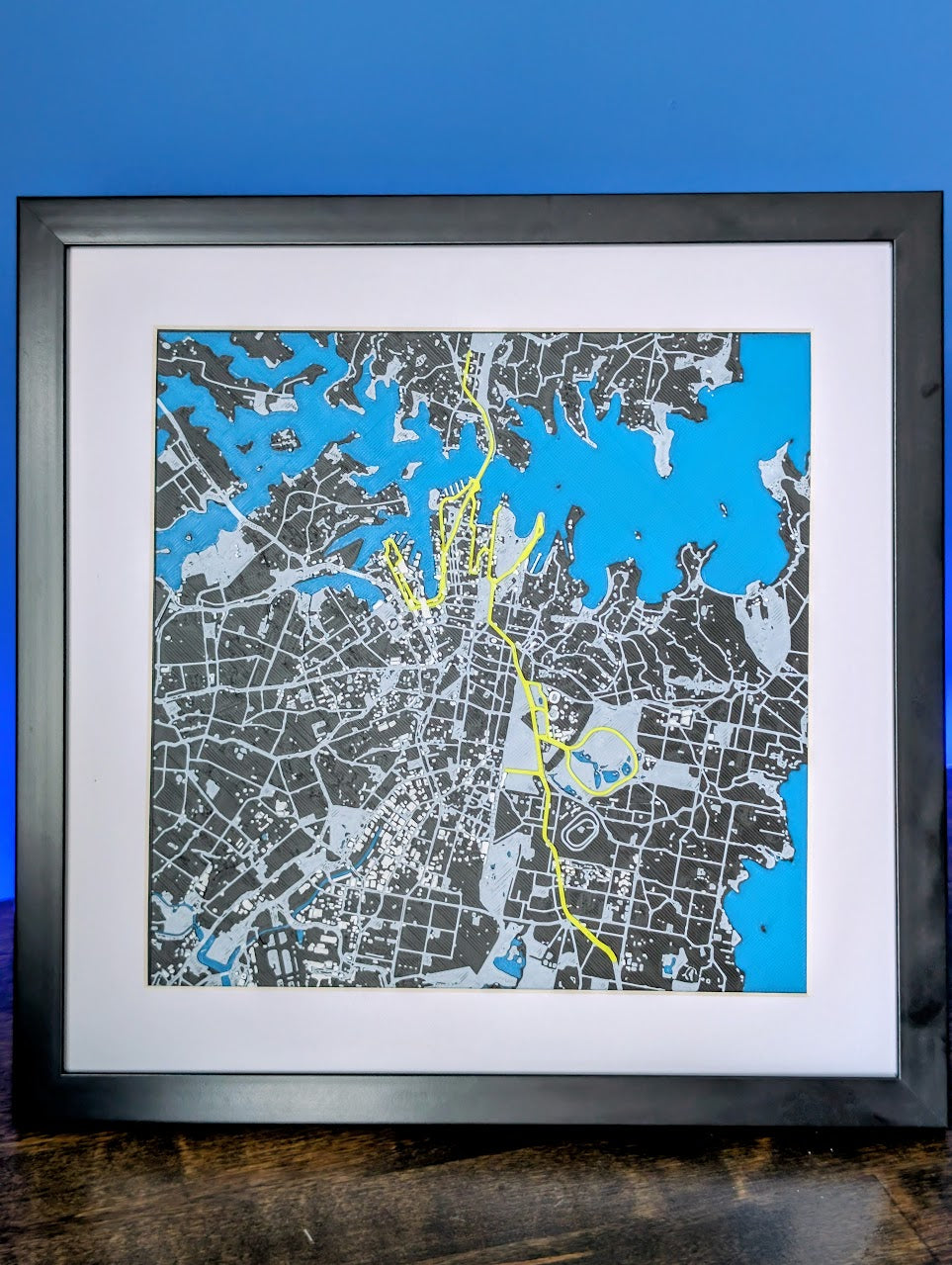 TCS Sydney Marathon 2025