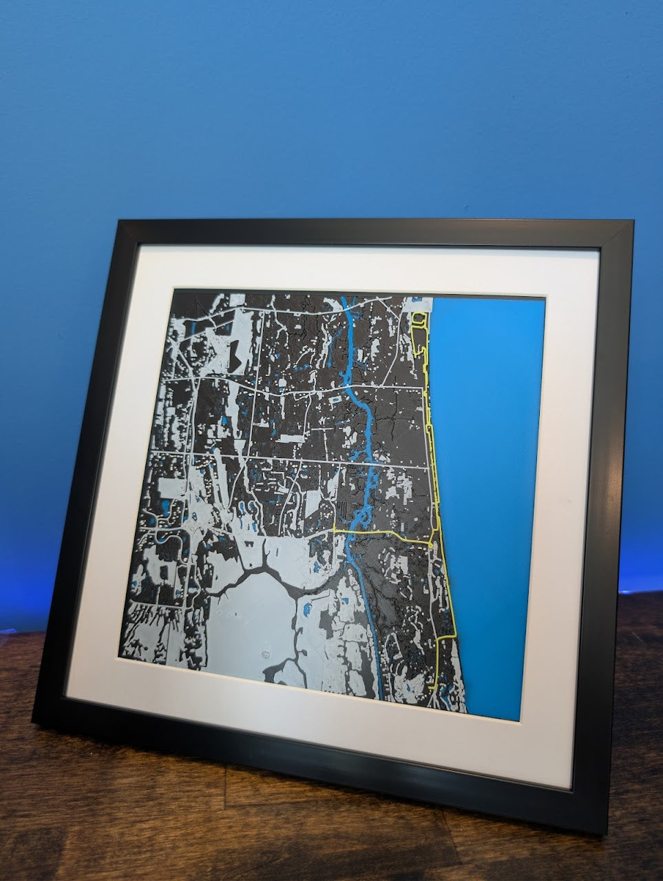 2010 Donna Jacksonville Marathon