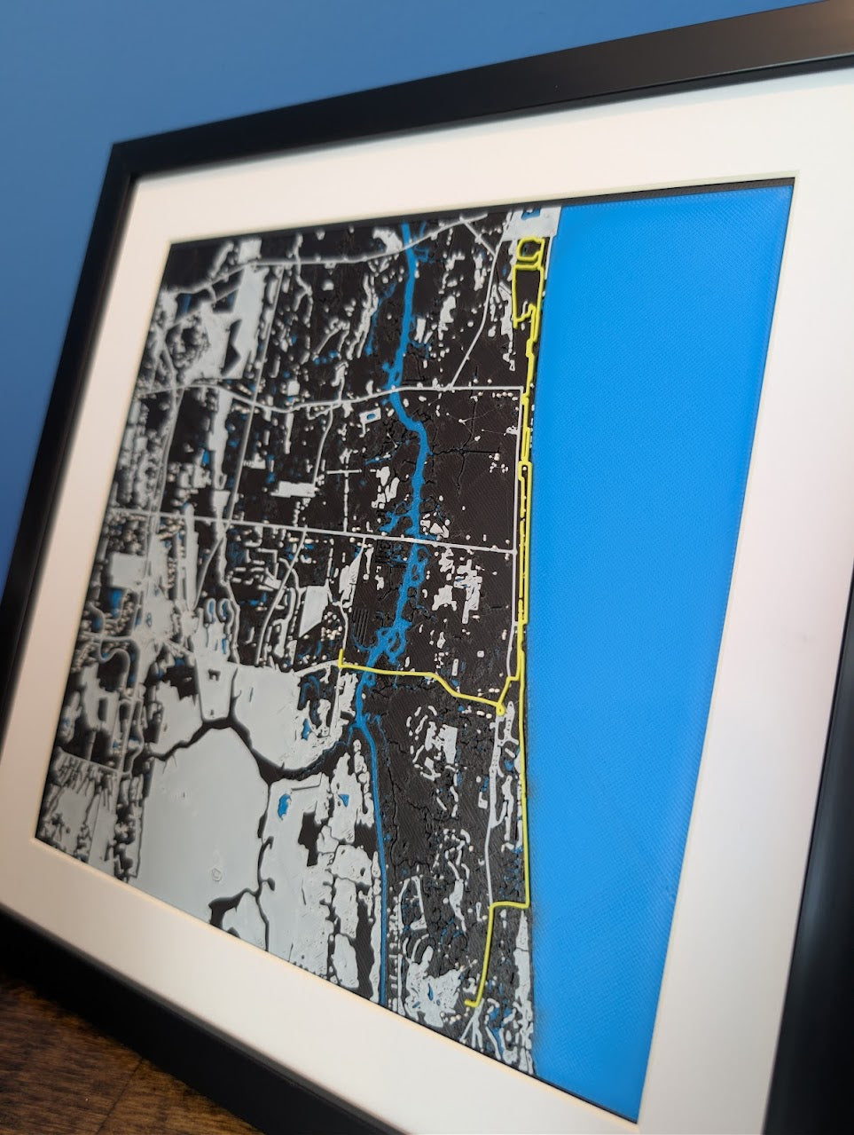 2010 Donna Jacksonville Marathon