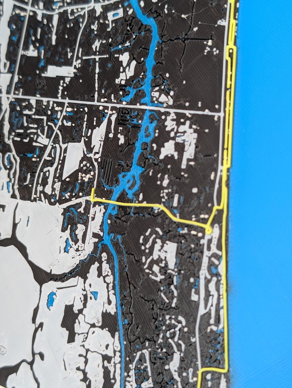 2010 Donna Jacksonville Marathon